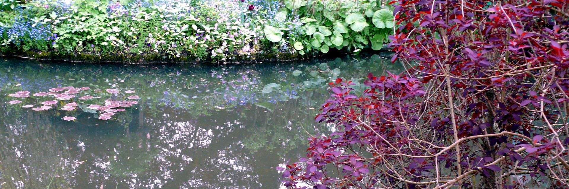 tap sull'immagine per vedere il video